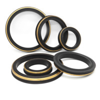 HNBR Gummi-Lippendichtung Fig 602 Messingring für Hochtemperatur-Ölfeldanwendungen Chemikalienbeständig 15.000 PSI API