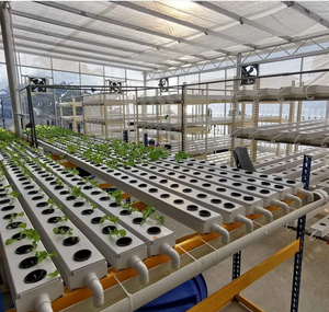Sistema de <span class=keywords><strong>agricultura</strong></span> hidropónica Nft, canal de plástico para fresa, invernadero de jardín - Product Image 3