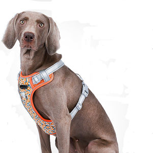 Tali kekang anjing poliester reflektif, Harness anjing multi warna, desain bunga aster kecil, anti ledakan untuk anjing besar - Product Image 5