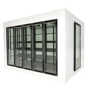 Factory Wholesale Display Refrigerator Commercial Freezer Glass Door With Shelves Size Can Be Customized