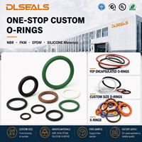 Joints toriques en caoutchouc OEM personnalisés (FKM/EPDM/NBR/Silicone) conformes aux normes AS568 et PG pour l'étanchéité des conduites, fabriqués au Fujian