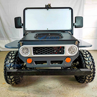 Mini jeep 4x4 Buggy Dune Buggy Transport spécial Mini jeep 150cc Buggy voiture 4x4 automatique à vendre