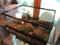 Rehausseurs de buffet en acrylique pliables, modernes, respirants et écologiques pour présentoir personnalisable
