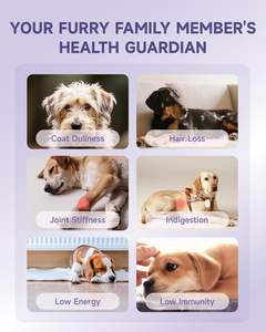 Gotas de Colágeno para Perros ODM con Biotina, MSM, Jengibre, Vitaminas C y E - Suplemento Sin Granos para la Salud de la Piel, el Pelaje, las Articulaciones y la Digestión - Product Image 3