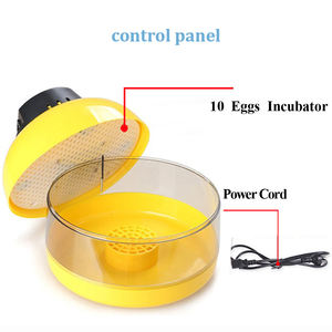Incubadora Automática de Huevos de Gallina de Construcción Duradera y Recuperación Instantánea al Mejor Precio, Apta para Uso Agrícola - Product Image 4