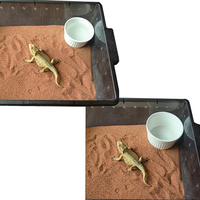 Vente en gros de fournitures pour animaux de compagnie Baignoire en céramique 9.5*4.5 Reptile Pet Snake Lizard Cornu Grenouille Tortue Bol à nourriture Bol à boire Bol pour animaux de compagnie