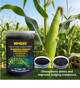 สารสกัดสาหร่ายดำเกรดเกษตรกรรมชนิดผง/เกล็ด <span class=keywords><strong>ปุ๋ย</strong></span>อินทรีย์ สารกระตุ้น<span class=keywords><strong>การ</strong></span>เจริญเติบโตของพืช - Product Image 1