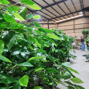 Árbol Artificial Decorativo de Ficus/<span class=keywords><strong>Benjamin</strong></span> de Plástico Económico, Ecológico, para Uso en Interiores/Exteriores, Vida Útil de 8-10 Años, Altura Ajustable - Product Image 3