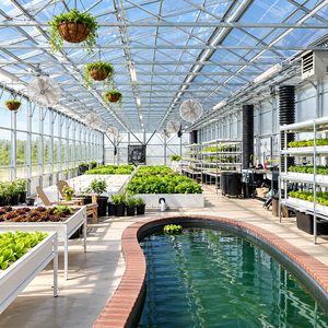 Lámina de Policarbonato para Invernadero Comercial, Sistema de Oscurecimiento para Cultivo Continuo de Vegetales y Flores - Product Image 6