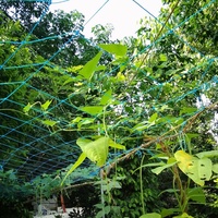 Service de découpe de filet de treillis robuste en PEHD, maille 10x10cm, pour le soutien des plantes de jardin, la culture des légumes et l'entraînement des plantes grimpantes