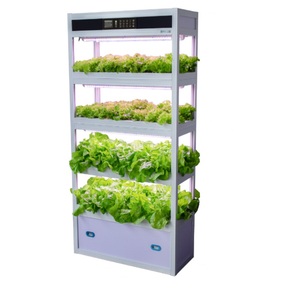 Sistema de Cultivo Hidropónico Vertical, Granja Inteligente de Vegetales para Interiores con Luz LED de Cultivo - Product Image 1