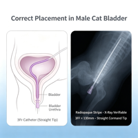 Cathéter urinaire vétérinaire pour chat Tomcat avec stylet jetable
