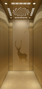 Lujosos elevadores de pasajeros de alta calidad para el hogar, diseño moderno, PVC sin engranajes para <span class=keywords><strong>apartamentos</strong></span> al aire libre, uso en villas, precio de fábrica - Product Image 6