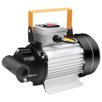 Pompe à engrenages électrique portative mini en fonte, auto-amorçante pour le transfert de diesel/huile usagée 12V/24V/220V, adaptée aux liquides à haute viscosité