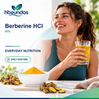 Poudre de berbérine HCl HBEUNDAS 97% de qualité alimentaire, ingrédient d'extrait végétal en gros pour marque privée OEM