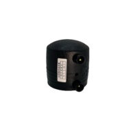 HDPE Electrofusion Fabricant tuyau en plastique hdpe Embout dn63mm