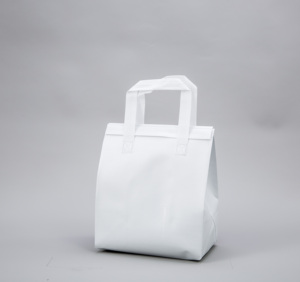 Túi Cách Nhiệt Có Thể Tái Sử Dụng Khuyến Mại Logo Tùy Chỉnh Túi Làm Mát Ăn Trưa Cách Nhiệt Bằng Vải Không Dệt Bán Sỉ Cho Thực Phẩm - Product Image 3