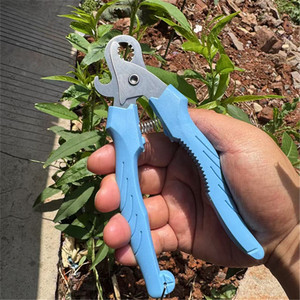 Seafood Tools Screw Cutter Snail Shears Chromium Vanadium Steel Heavy Duty For Shellfish Opening - Product Image 3