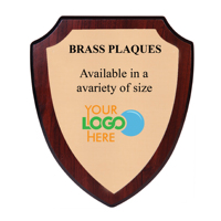 Plaques de récompense murales trophée en métal Boucliers d'honneur Sport 20-25 CM et plaque en bois avec bouclier en acier inoxydable