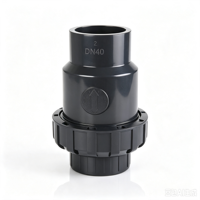 Clapet anti-retour industriel en PVC-U, norme DIN ANSI, à joint simple, en plastique durable pour l'irrigation
