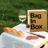 Distributeur de boissons alimentaire Bag-in-Box 96oz 3L 5L 10L avec robinet de remplissage pour Vodka, Champagne, Café, Bière, Impression par gravure