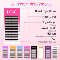 Extensions de Cils Cachemire Vison Haute Qualité Pose Facile Volume Russe Cils Noir Mat Effet Velours Cils Individuels
