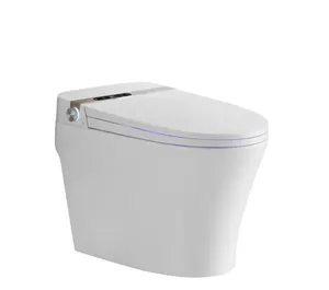 Cung cấp thiết bị vệ sinh nhà vệ sinh hiện đại Spy WC nhìn trộm nhà vệ sinh Trung Quốc nhà vệ sinh thông minh bao gồm chỗ ngồi