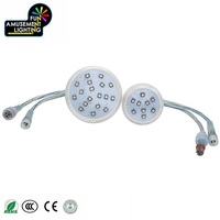 Innovador controlador de luz LED de píxeles E14 de 60mm para parques temáticos, jardines, parque de atracciones, decoración de parques de atracciones, luces de punto clasificadas IP65