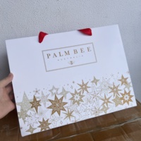 Sacs cadeaux en papier couché de luxe, sacs d'emballage pour le shopping avec poignées de transport pour bijoux, perruques, vêtements, chaussures, bougies