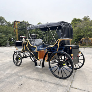 Charrette royale classique de luxe haut de gamme unique, charrette électrique de tourisme européenne, buggy de tourisme équestre de qualité supérieure - Product Image 5