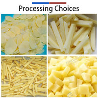 Automatische machine voor het schillen, snijden, blancheren, drogen en verpakken van rauwe fruit- en groentefrietjes/chips met hoge capaciteit, food grade.