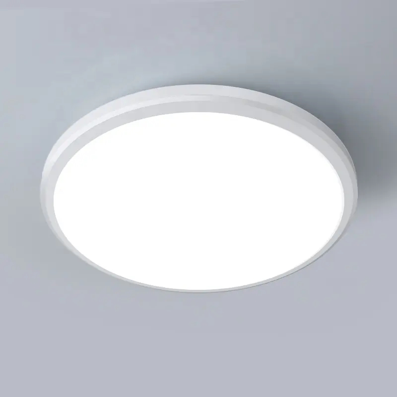 Hot-selling modern ceiling lamp is suitable for restaurant iron Led residential general waterproof ceiling light