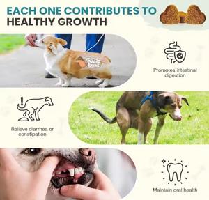 Tabletas Masticables Probióticas para la Salud Intestinal de Perros OEM/ODM, para Equilibrio Digestivo, Refuerzo de la Inmunidad, Digestión Sensible, Todas las Razas - Product Image 2