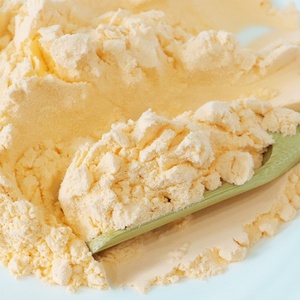 Высококачественный апельсиновый фруктовый порошок сладкий апельсиновый сок порошок ароматизатор Прямая продажа с завода - Product Image 6