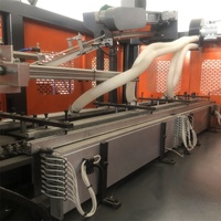 YD-1800 de moulage par soufflage professionnel PET à 2 cavités, automatisation supérieure, contrôle intelligent, fabrication de petites bouteilles