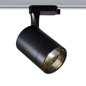 RANZI Manufacturer Supply 2700Lm Lumen 30W Cob Led Track Spot Light For Jewelry Shop Exhibition