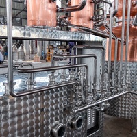 Équipement de distillerie multifonctionnel en cuivre TP2 complet Alambic de liqueur de 500 litres pour le traitement de l'alcool de spiritueux