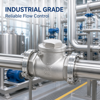 Válvula de Retención de Giro de 2 Pulgadas, Acero Inoxidable CF8 200 WOG, Rosca NPT BSP, para Tuberías Industriales de Agua, Aceite y Gas