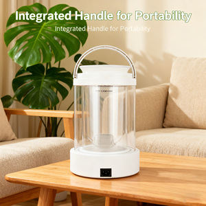 Mango portátil de 3L, niebla cálida, transparente, doble vesícula biliar, botón Simple, <span class=keywords><strong>Humidificador</strong></span> calentado a <span class=keywords><strong>vapor</strong></span> puro con luz nocturna - Product Image 5