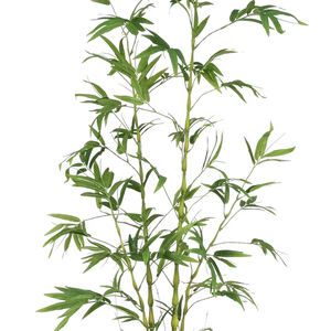 Chất lượng cao 6ft 180cm OH nghệ thuật Trung Quốc cây tre tre tre cây nhân tạo bambusa ventricosa Phật bụng tre cho trang trí nội thất - Product Image 3