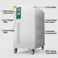 Regulador de Voltaje Automático Trifásico de 15 kVA para Dispositivos Médicos, Regulador de Voltaje de Servomotor Trifásico TNS de 15 kVA con Bobina de Cobre