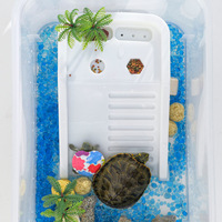 Bassin pour tortues en plastique, boîte pour reptiles, grande et petite taille, avec plateforme de basking et valve de drainage, habitat pour animaux de compagnie, boîte d'aquarium