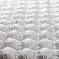 100% coton duvet d'oie preuve 120S couette tiques plume preuve housse de couette pour couette