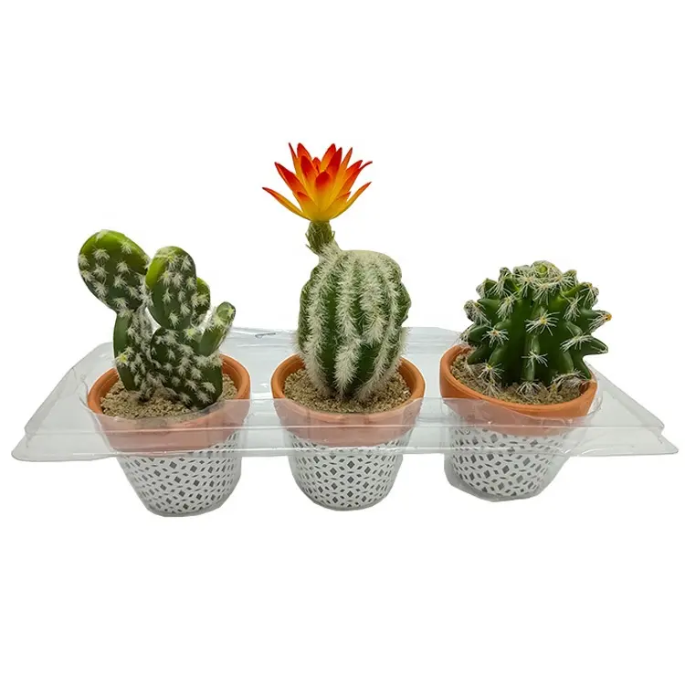 High Quality Home Office Decoration Artificial Succulents Mini Plants 18cm Artificial Cactus With Terracotta Pot