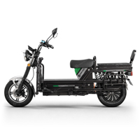 SIGOTECH Prix usine OEM Moto cargo électrique robuste en acier 1000 Watts 72 Volts pour charges lourdes