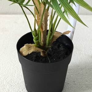 Planta Artificial Pequeña en Maceta al por Mayor, Bonsái Artificial de Plástico Pequeño, Decoración de Oficina - Product Image 3