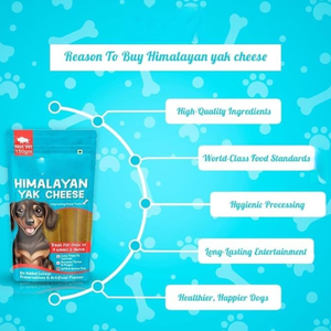Friandises à mâcher douces au <span class=keywords><strong>fromage</strong></span> de yak de l'<span class=keywords><strong>Himalaya</strong></span> entièrement naturelles, durables, saines, digestibles, <span class=keywords><strong>pour</strong></span> la santé dentaire, riches en protéines, en calcium, sans gluten - Product Image 6