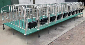 2024 chất lượng tuyệt vời <span class=keywords><strong>farrowing</strong></span> bút <span class=keywords><strong>farrowing</strong></span> thùng cho lợn <span class=keywords><strong>farrowing</strong></span> thùng cho lợn trang trại thiết bị - Product Image 3