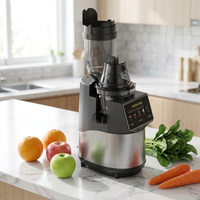 Extracteur de jus électrique personnalisé avec logo, 600 ml, en acier inoxydable, goulotte d'alimentation pour fruits entiers, presse à froid à mastication lente haute performance