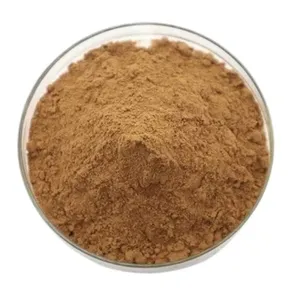 CAS 90045-36-6 Chinese Supplier Cosmetic Raw Materials high purity ginkgo biloba extract posder security customs Good Feedback